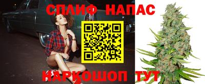 гашик Татарск