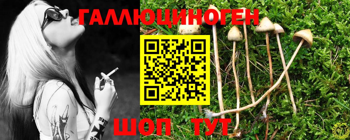 Орехово-Зуево  Псилоцибиновые грибы GOLDEN TEACHER  Псилоцибиновые грибы прущие грибы  Вход с VPN 